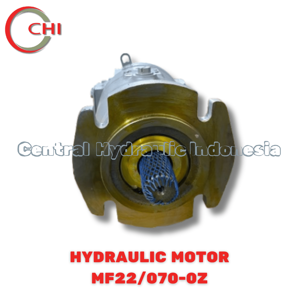 HYDRAULIC MOTOR TYPE MF22/070-0Z / SAUER DANFOSS - Image 5